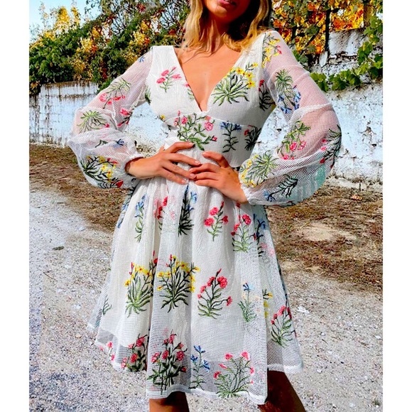 New A line Mesh Embroidered Puff Sleeve Dress - Picture 1 of 5